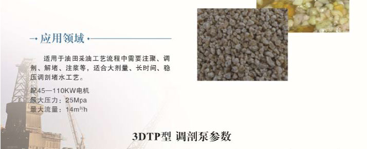 3DTP型調(diào)剖泵